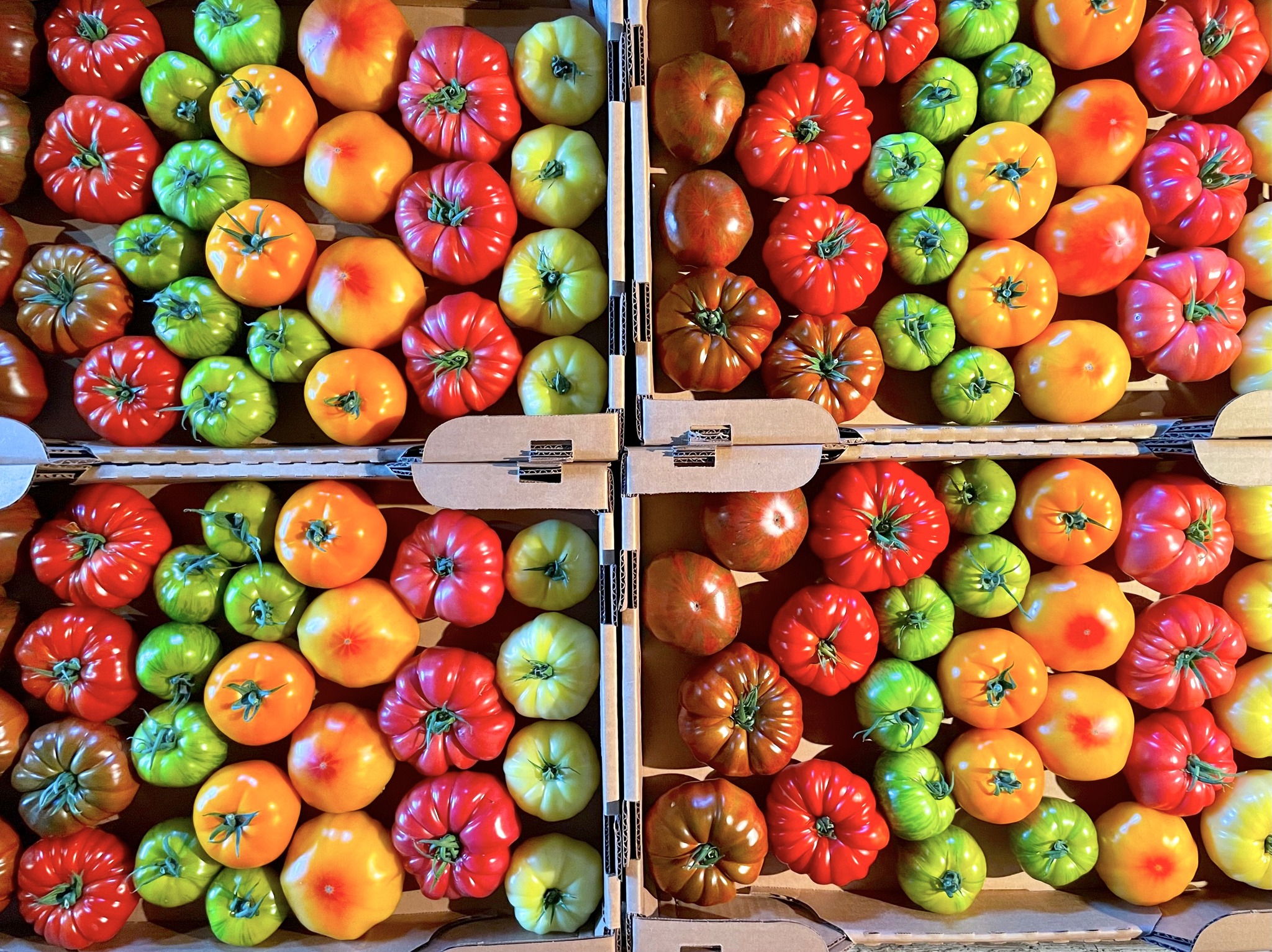 373301334_869551911420188_178521594217519188_n